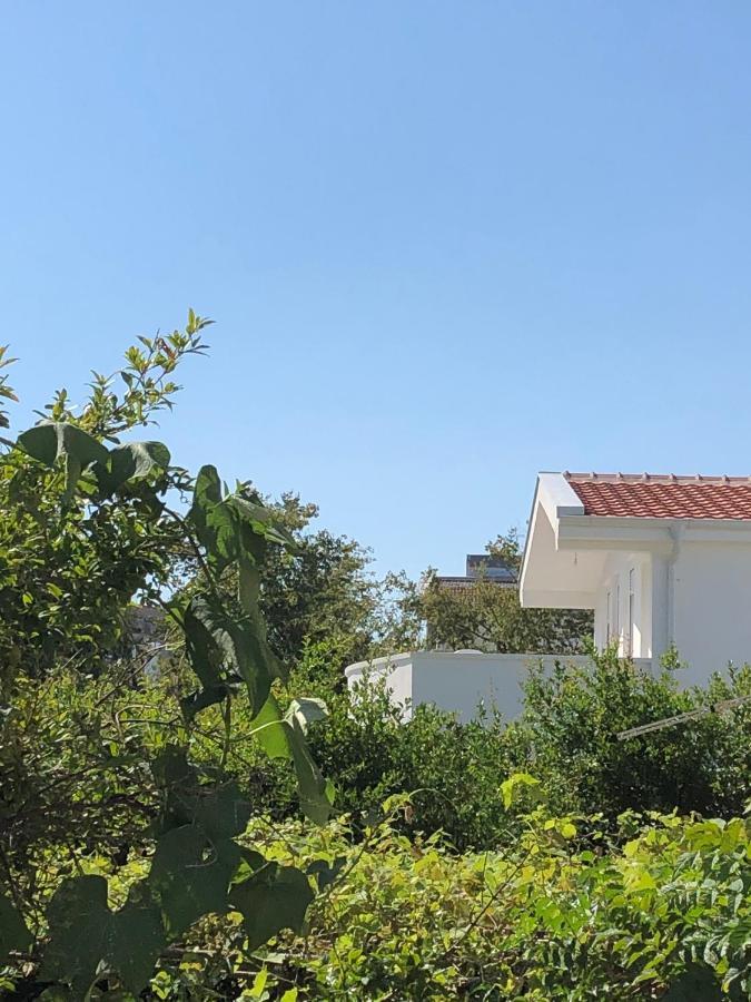 Villa Dafina Donji Stoj Exterior foto